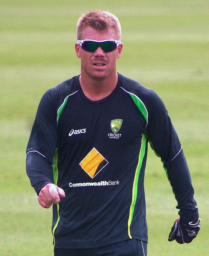 David Warner Profile